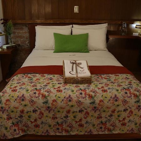 Chalet Del Carmen, Coyoacan Мексико Сити Екстериор снимка