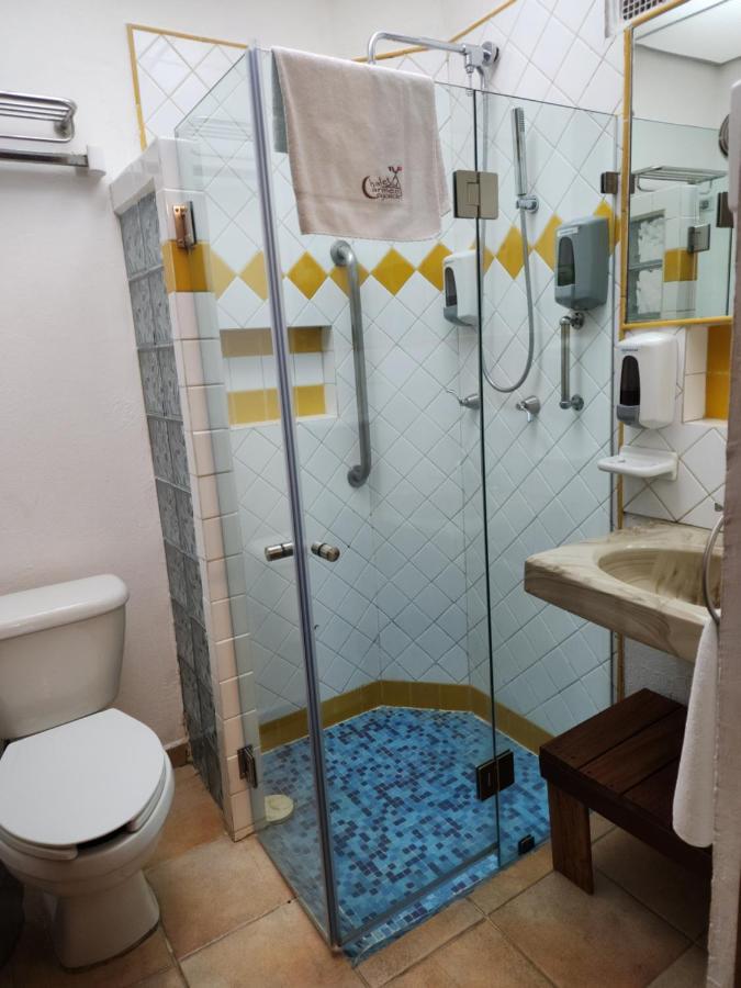 Chalet Del Carmen, Coyoacan Мексико Сити Екстериор снимка