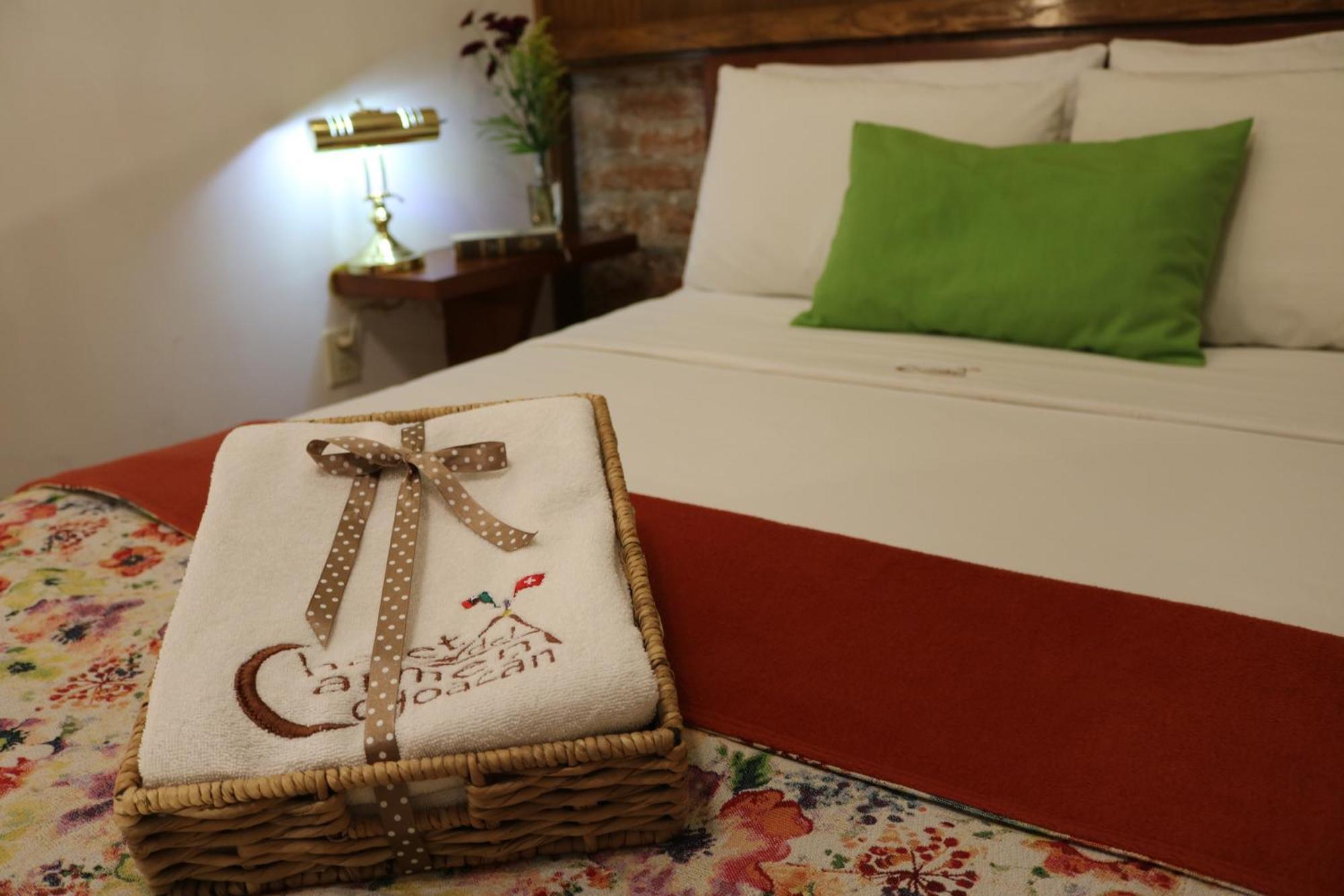 Chalet Del Carmen, Coyoacan Мексико Сити Екстериор снимка