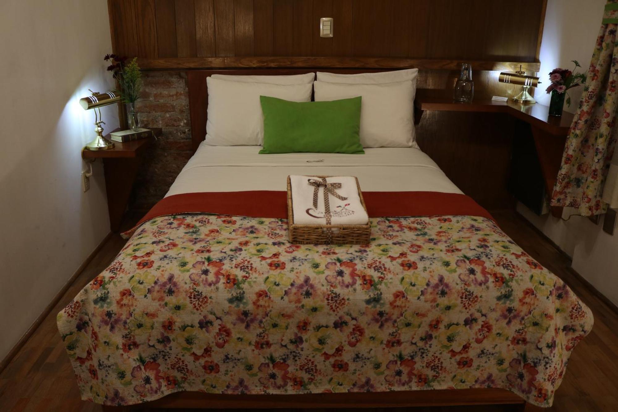 Chalet Del Carmen, Coyoacan Мексико Сити Екстериор снимка