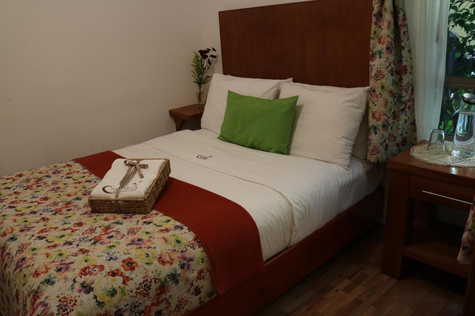 Chalet Del Carmen, Coyoacan Мексико Сити Екстериор снимка