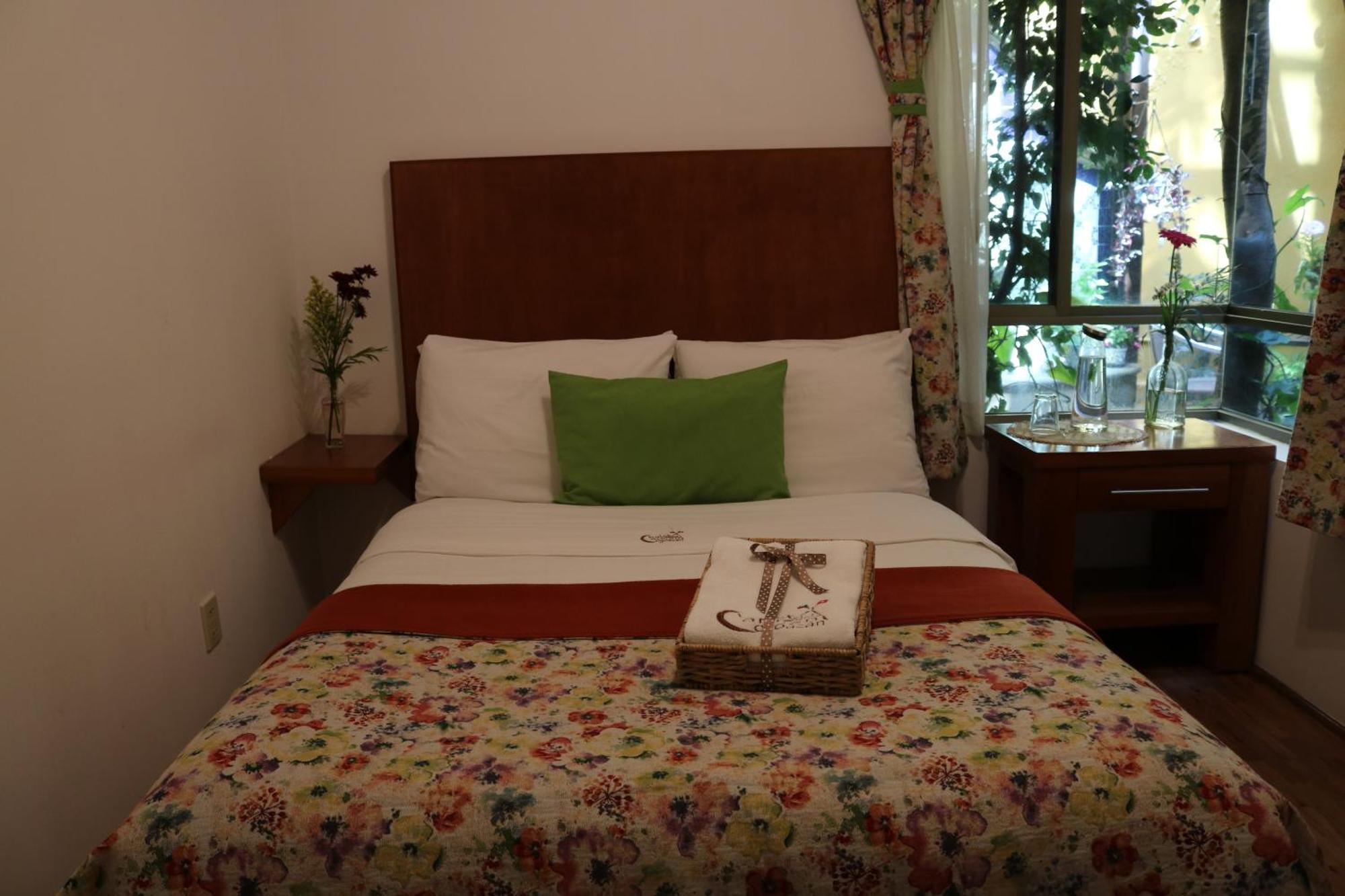 Chalet Del Carmen, Coyoacan Мексико Сити Екстериор снимка