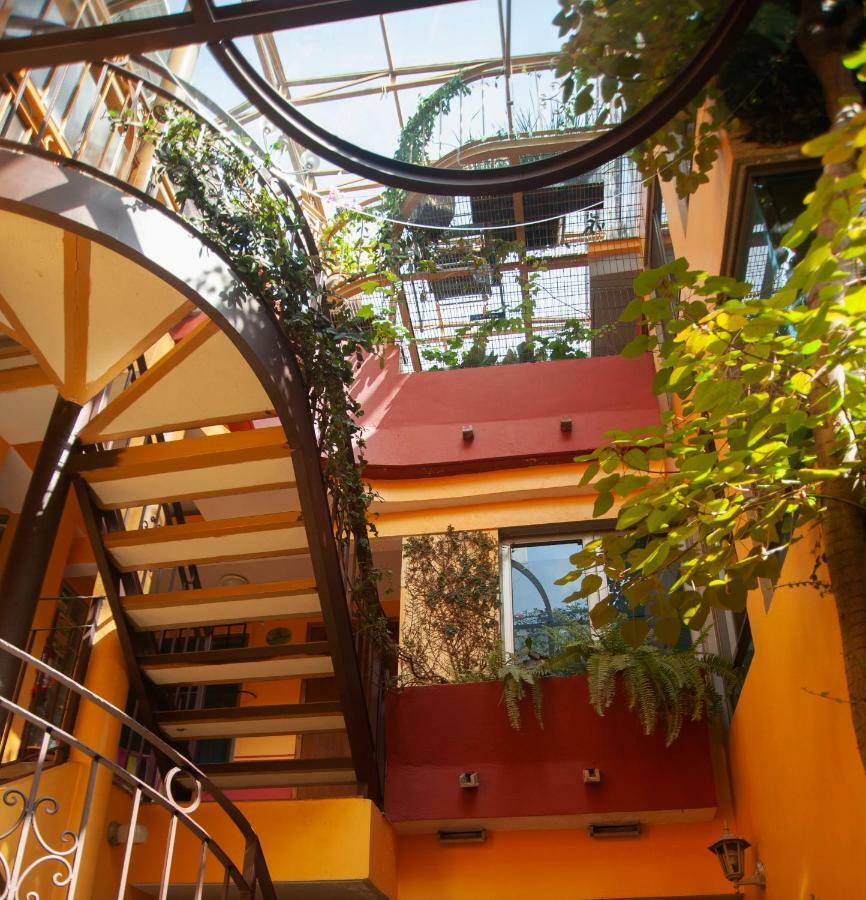 Chalet Del Carmen, Coyoacan Мексико Сити Екстериор снимка