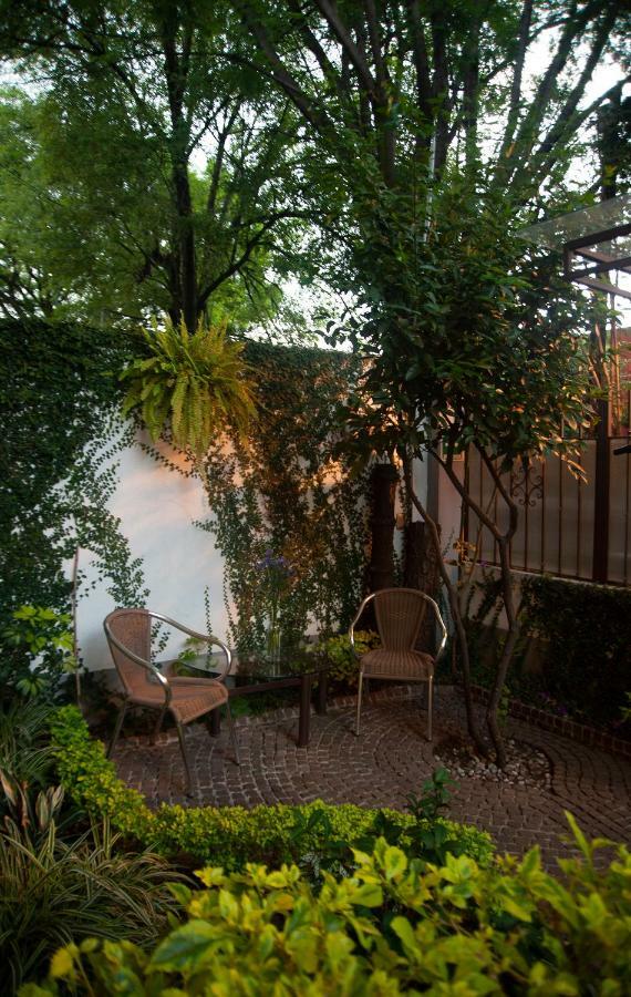 Chalet Del Carmen, Coyoacan Мексико Сити Екстериор снимка